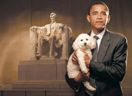 obama-dog-large