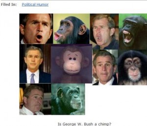 bush-or-chimp