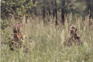 east-german-gak-patrol