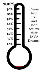 thermometer20graphic
