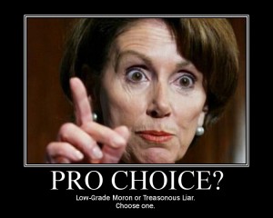 pelosimotivator7532518