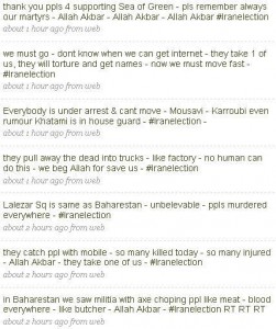 persiankiwi persiankiwi