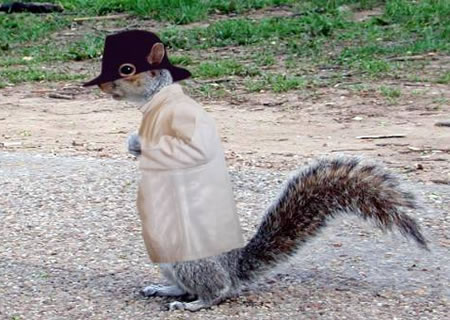 secret_squirrel secret_squirrel