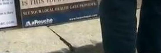 obama-larouche1 obama-larouche1