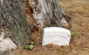 Arlington Headstones