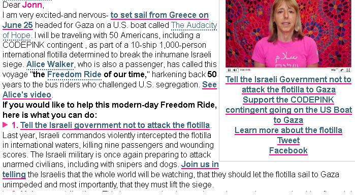 Code Pink Freedom Riders