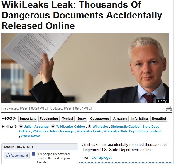 Wikileaks accident