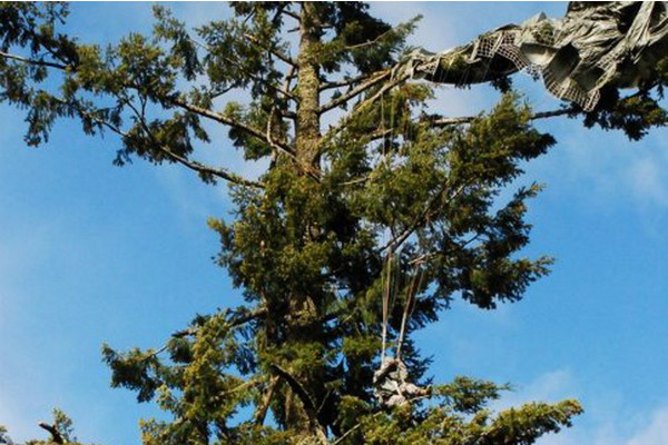 washparatrooperrescue3_10706605