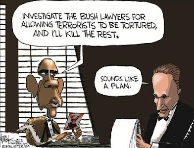 Bush lawyers