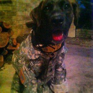 933907_10151525297845810_913220557_n