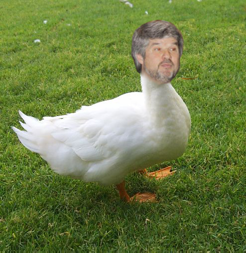 gi duck