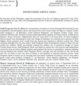 Distinguished Service Cross Halbruner