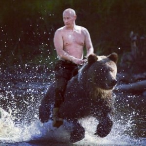 putin-bear
