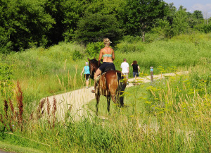 Girl on a horse on the lake trail