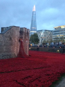 London Poppies