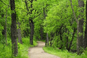 Hiking trail Quick e-mail view