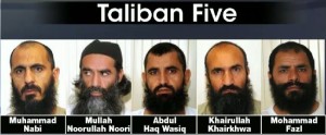 Bergdahl 5