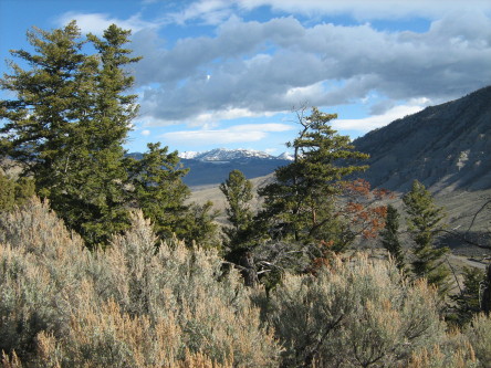 Yellowstone trip 2015