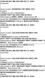 Steve Schuler Arrest record 2
