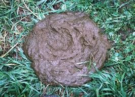 A Sunday Rambling from Not a CPO, Updated