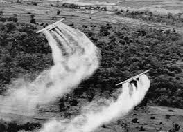 Blue Water Navy & Agent Orange