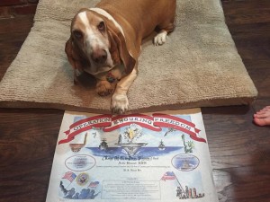 Jerry Foster Certificate