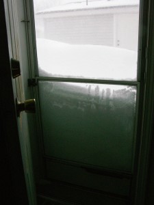 Morning after the Feb 2 2011 blizzard