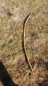 longbow Otzi 2016