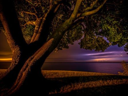 95373.ngsversion.1471316914896.adapt.536.1