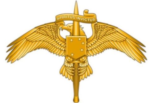 marsoc-insignia-pin-600x400