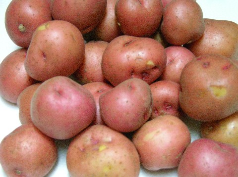 Moving On to Other Things