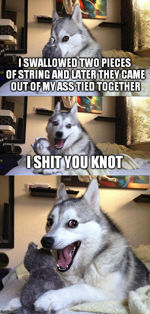 dog pun
