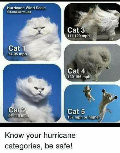hurricane cat