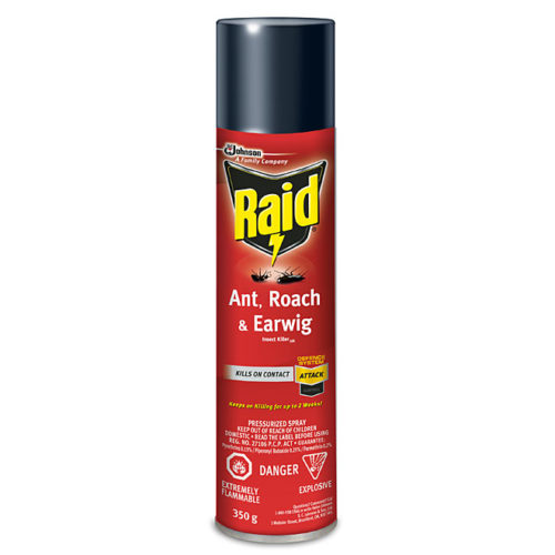 raid