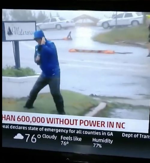 windy reporter