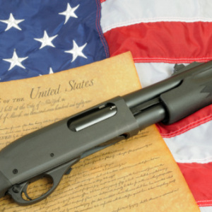 gun flag constitution