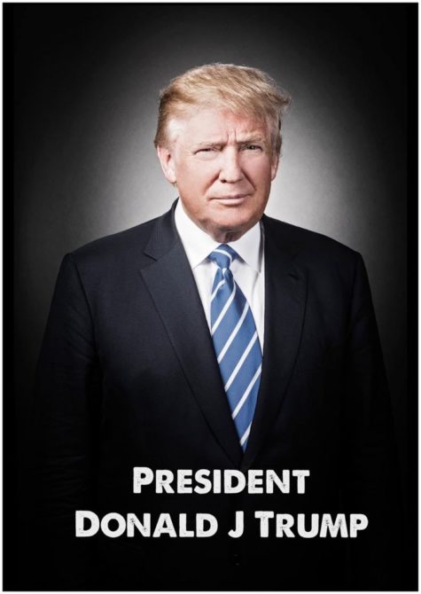official trump pic