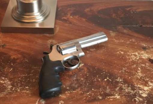S&W 686