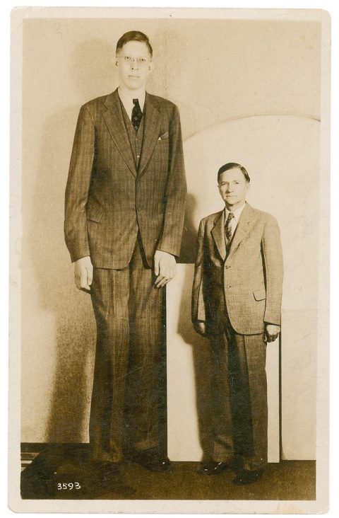 wadlow