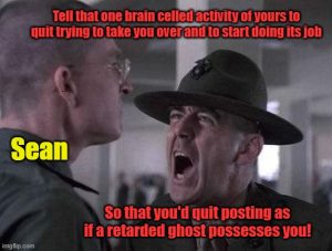 Drill Sergeant Marine drill instructor one brain celled activity retarded ghost Sean Valor Guardians.jpg