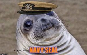 seals be like.jpeg