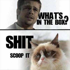 Se7en grumpy cat.jpg