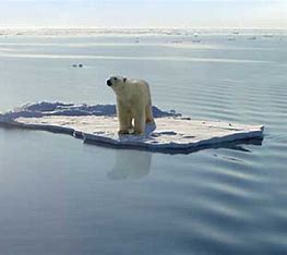 US Military Killing the Planet