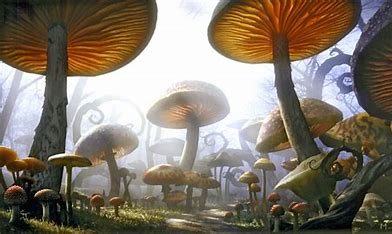 VA’s MDMA Clinical Trials for PTSD