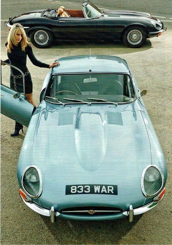 Stupid people of the week