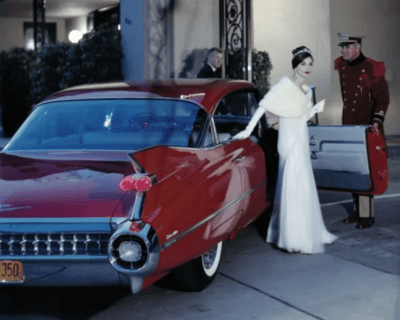 Stupid people of the week